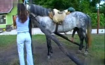 “妻子在cam上户外恋爱癖色情场景喜欢马迪克